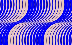 Webflow vs Framer vs WordPress for Your Business Website