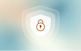 WordPress Webflow Website Security